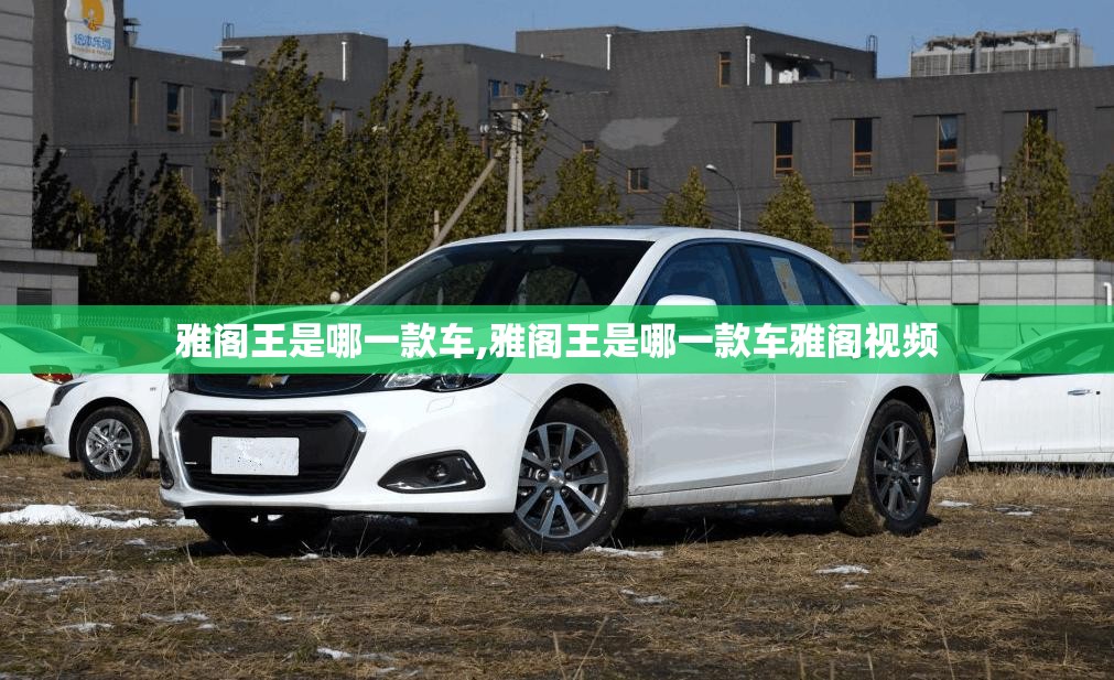 雅阁王是哪一款车,雅阁王是哪一款车雅阁视频