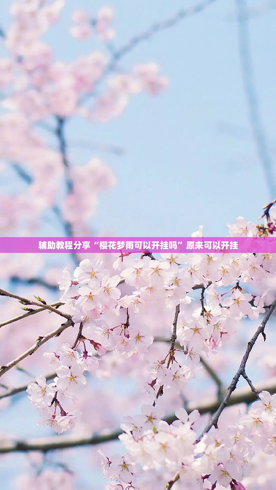 辅助科普实测“新讯奇麻将可以开挂吗”辅助透视教程