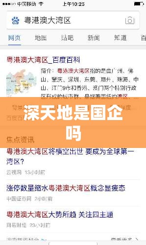 深天地是国企吗,深天地股权之争