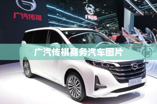 广汽传祺商务汽车图片/广汽传祺商务车费用及图片报价2021