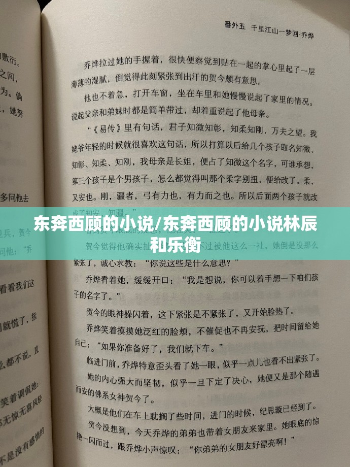 东奔西顾的小说/东奔西顾的小说林辰和乐衡