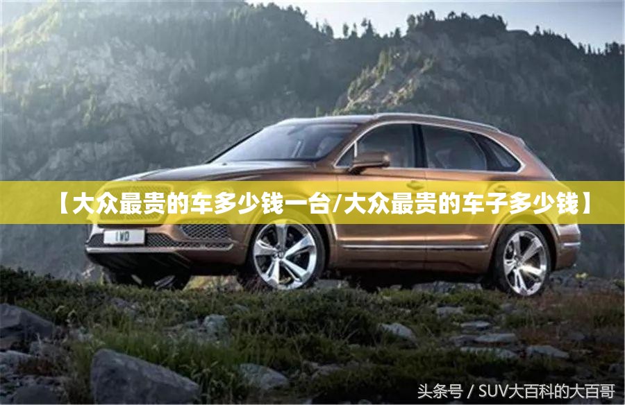 【大众最贵的车多少钱一台/大众最贵的车子多少钱】