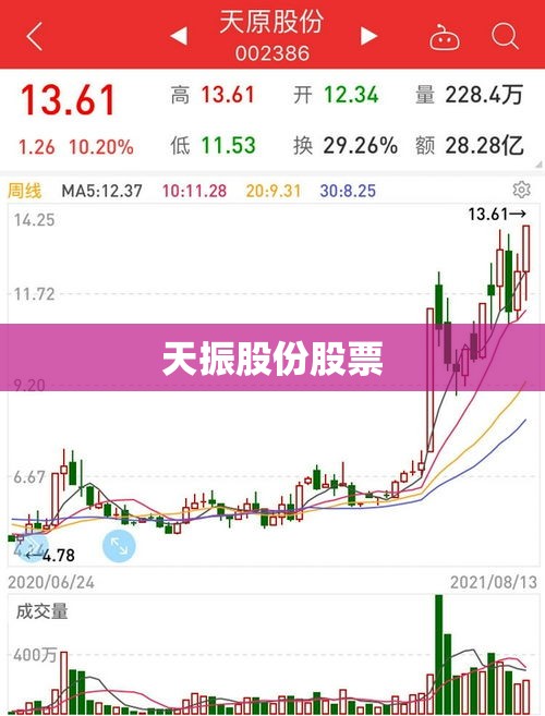 天振股份股票/天振股份股票后续走势
