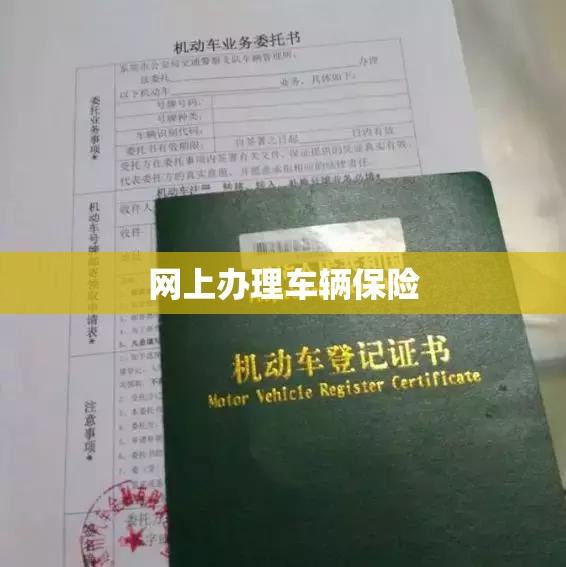 网上办理车辆保险