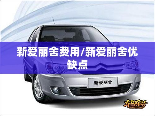新爱丽舍费用/新爱丽舍优缺点