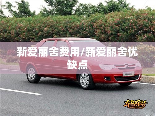 新爱丽舍费用/新爱丽舍优缺点