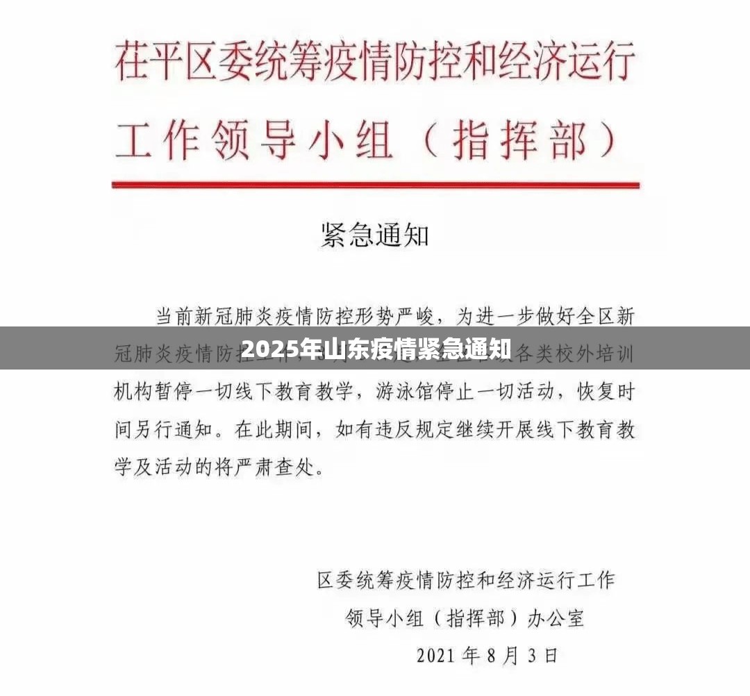 网上办理车辆保险