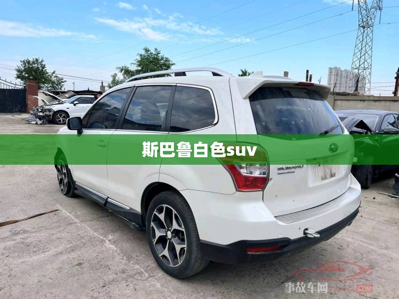 万能开挂辅助“天天福建十三水可以开挂吗”原来有挂 难怪会一直输