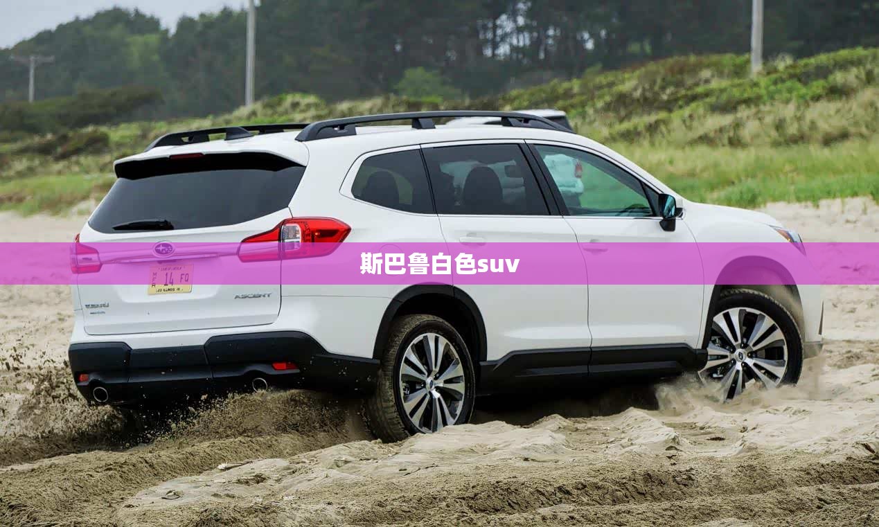 【斯巴鲁白色suv,斯巴鲁白色越野车图片】