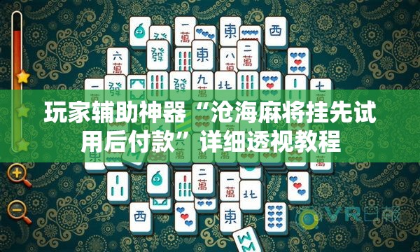 玩家辅助神器“沧海麻将挂先试用后付款”详细透视教程