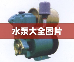 水泵大全图片,新界潜水泵大全图片 水泵大全图片,新界潜水泵大全图片