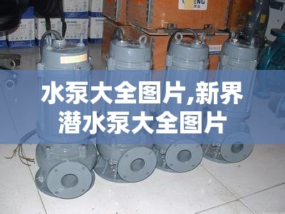 安装程序教程“丽水跑得快万能开挂神器”辅助透视教程