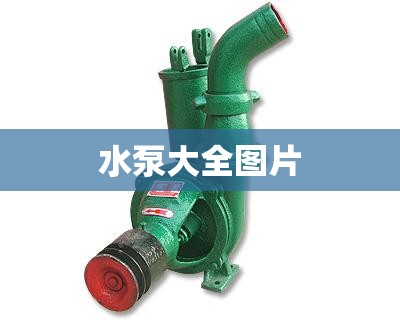 水泵大全图片,新界潜水泵大全图片 水泵大全图片,新界潜水泵大全图片