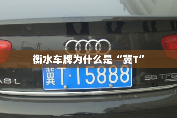 衡水车牌为什么是“冀T”