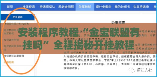 安装程序教程“金宝联盟有挂吗”全程揭秘开挂教程