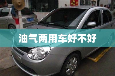 油气两用车好不好/油气两用车有什么缺点 油气两用车好不好/油气两用车有什么缺点