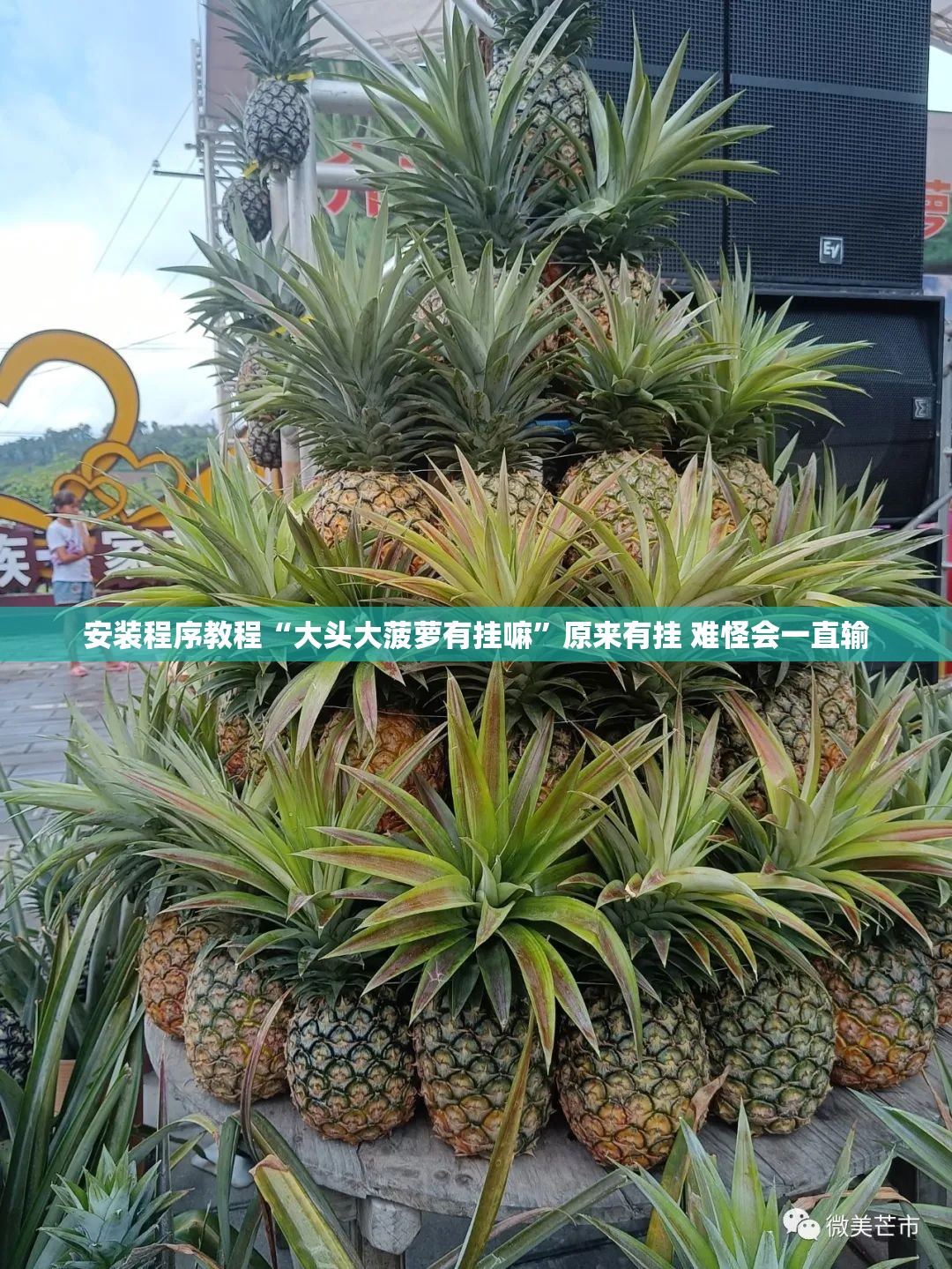 安装程序教程“大头大菠萝有挂嘛	”原来有挂 难怪会一直输