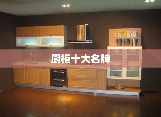 厨柜十大名牌 厨柜十大名牌