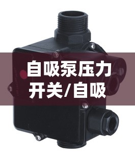 自吸泵压力开关/自吸泵压力开关怎么接线 自吸泵压力开关/自吸泵压力开关怎么接线