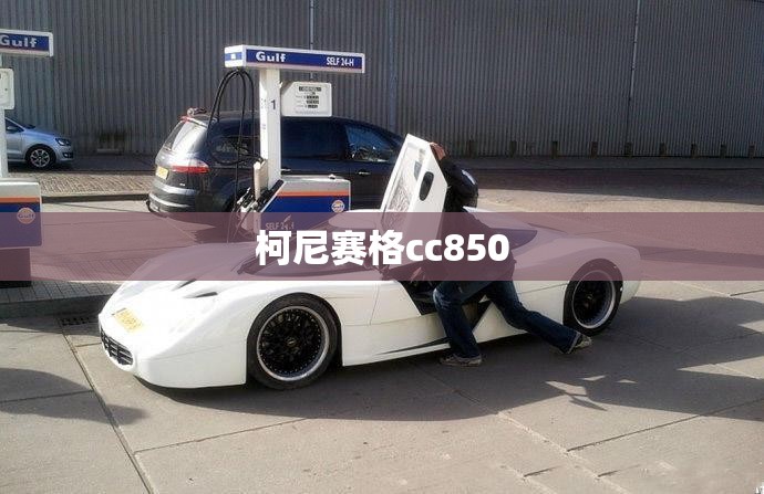 玩家辅助神器:风风跑胡子辅助”通用版下载教程