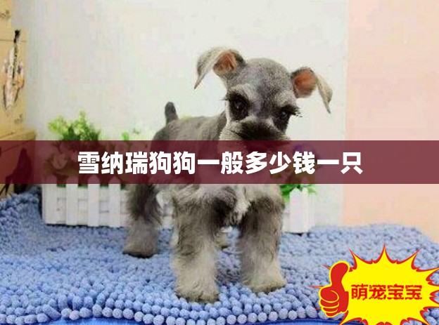 玩家辅助神器:天天微友挂怎么下载-最新辅助详细教程