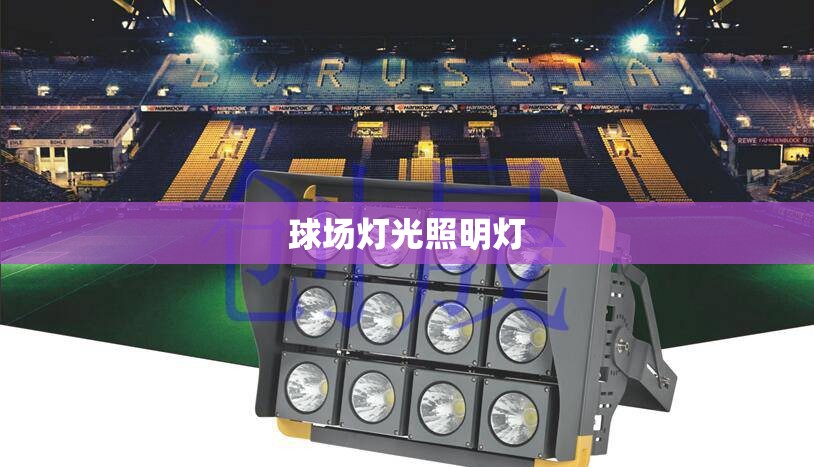 【球场灯光照明灯,球场灯光照明灯的作用】