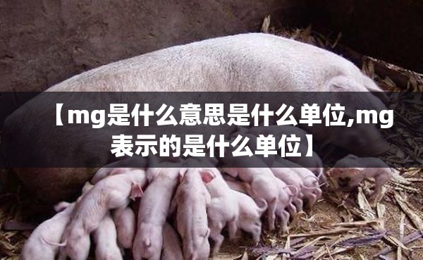 【mg是什么意思是什么单位,mg表示的是什么单位】