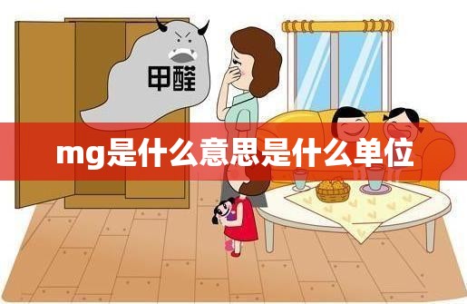 【mg是什么意思是什么单位,mg表示的是什么单位】