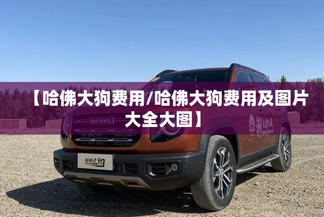 【哈佛大狗费用/哈佛大狗费用及图片大全大图】 【哈佛大狗费用/哈佛大狗费用及图片大全大图】