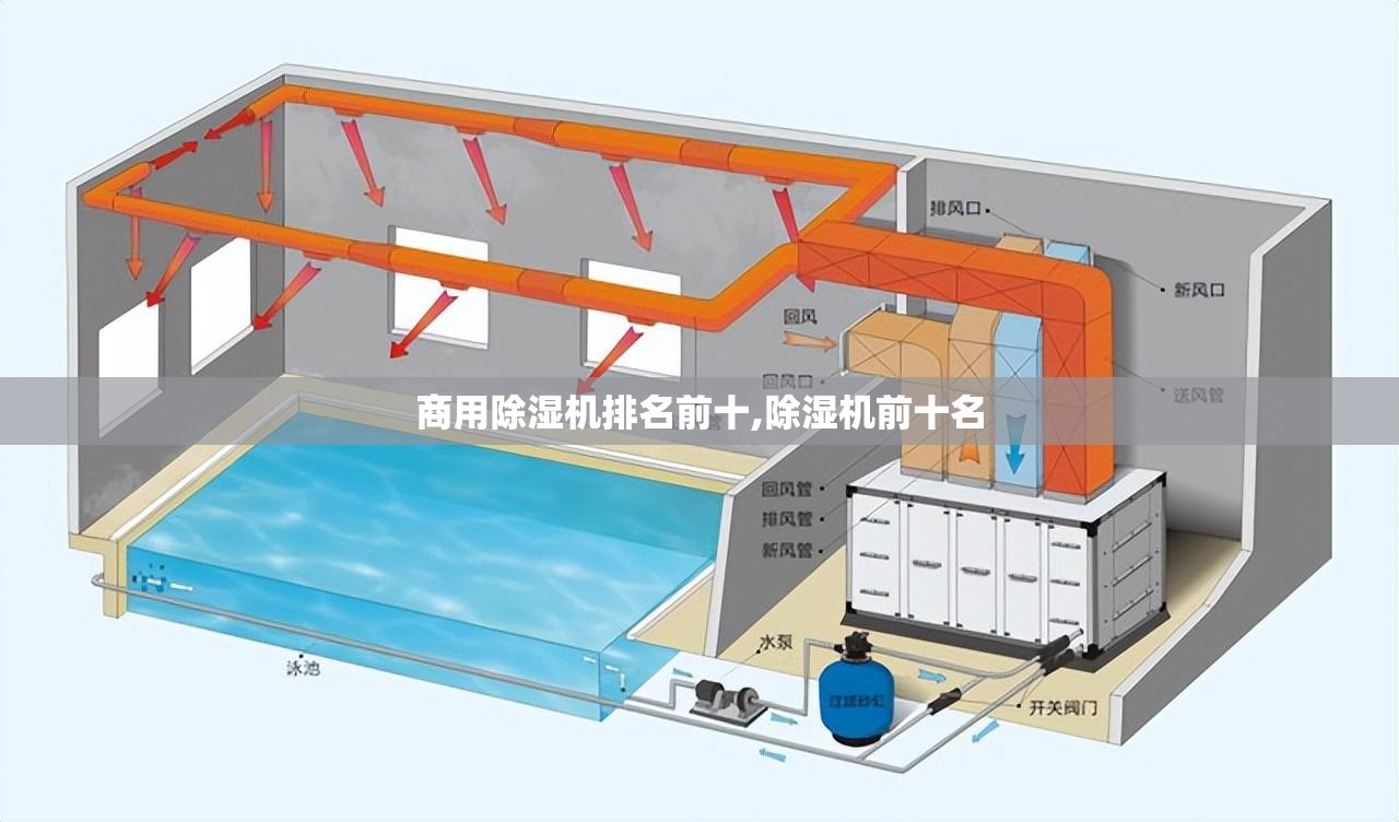 实测分享“皇冠十三水辅助器链接”详细辅助软件教程