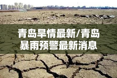 青岛旱情最新/青岛暴雨预警最新消息