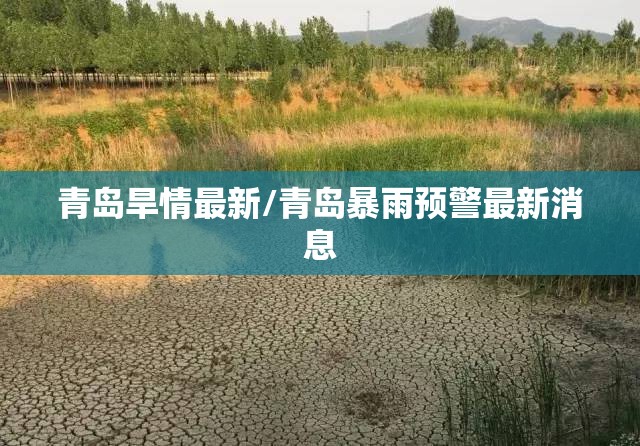 万能开挂辅助“杭州都莱大菠萝买了挂有用吗”详细透视教程