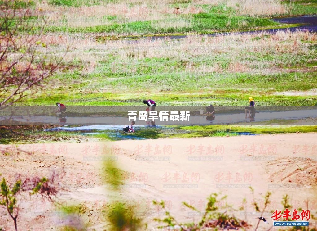 青岛旱情最新/青岛暴雨预警最新消息