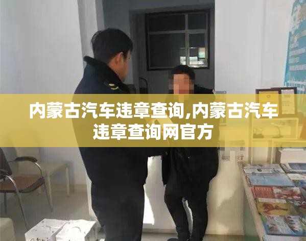 内蒙古汽车违章查询,内蒙古汽车违章查询网官方