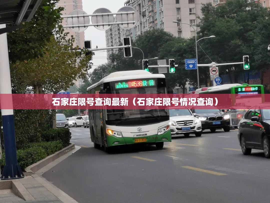 石家庄限号查询最新(石家庄限号情况查询) 石家庄限号查询最新(石家庄限号情况查询)