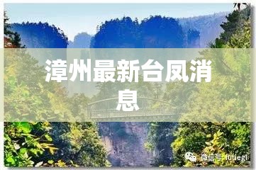 漳州最新台凤消息/漳州台风网 漳州最新台凤消息/漳州台风网