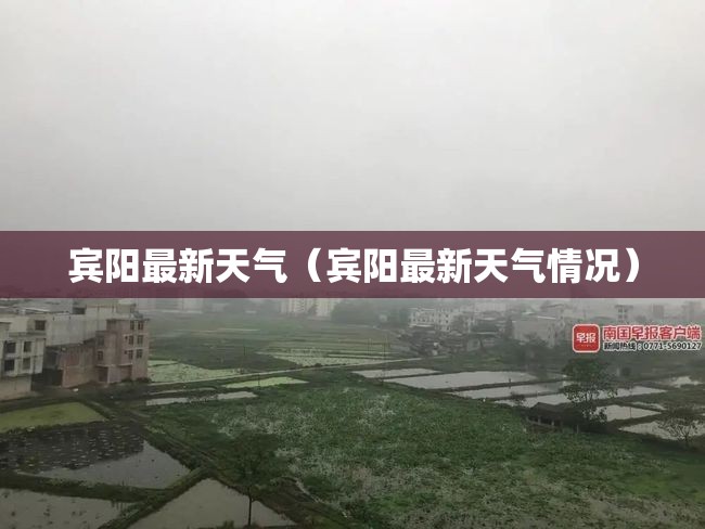 宾阳最新天气（宾阳最新天气情况）