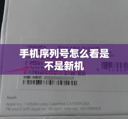 玩家辅助神器:牵手跑胡子挂多少钱一个”详细分享装挂步骤