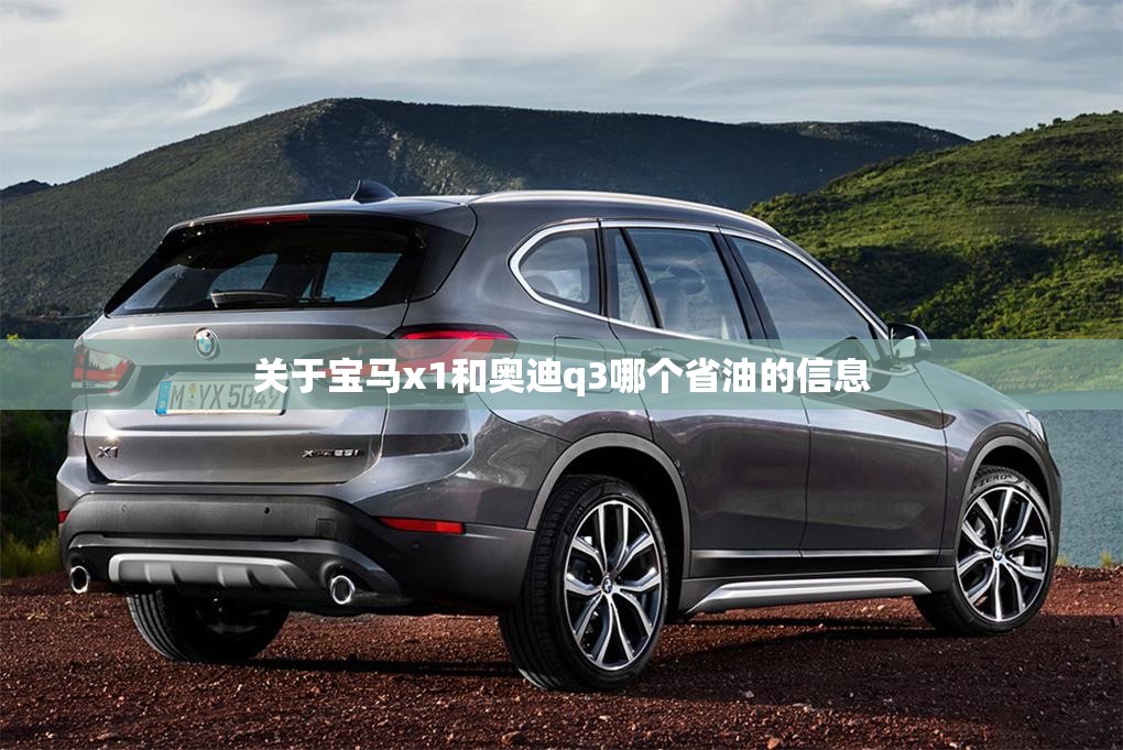 包含关于宝马x1和奥迪q3哪个省油的信息的词条