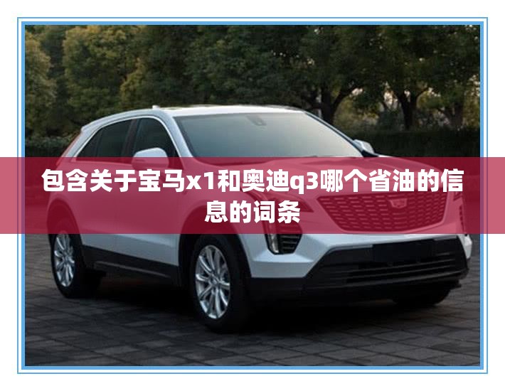 包含关于宝马x1和奥迪q3哪个省油的信息的词条