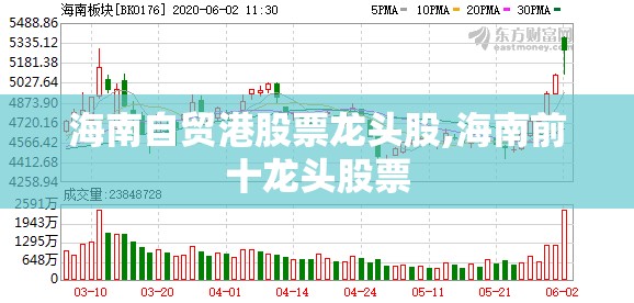 海南自贸港股票龙头股,海南前十龙头股票