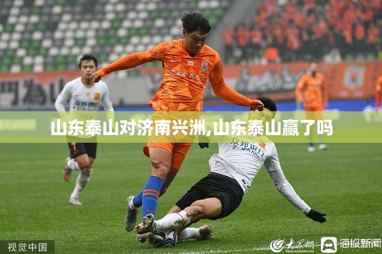 山东泰山对济南兴洲,山东泰山赢了吗