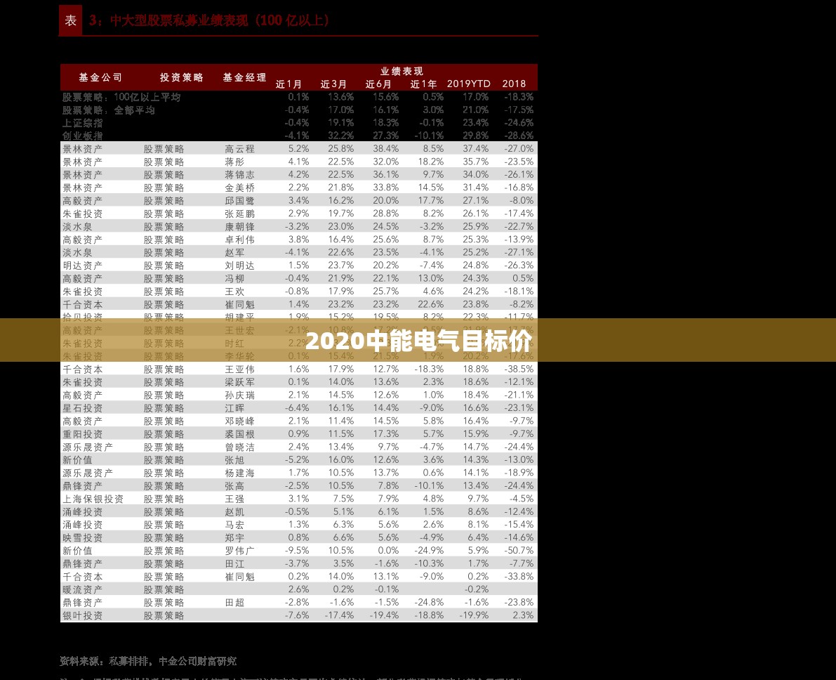 【2020中能电气目标价/中能电气2020年报】
