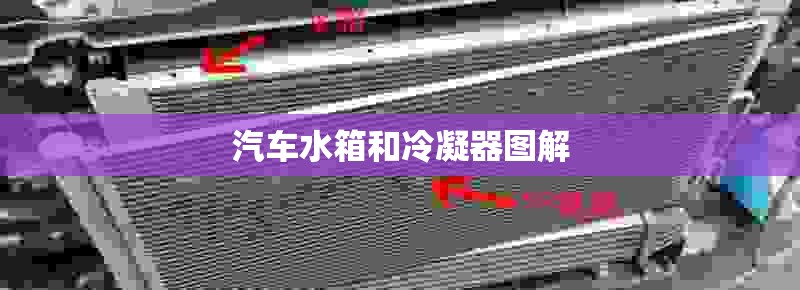 【童装批发厂家超低价供货,童装批发厂家直销货源】