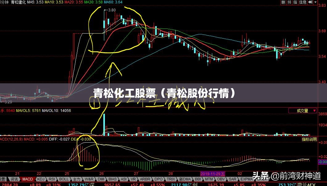 山东泰山对济南兴洲,山东泰山赢了吗