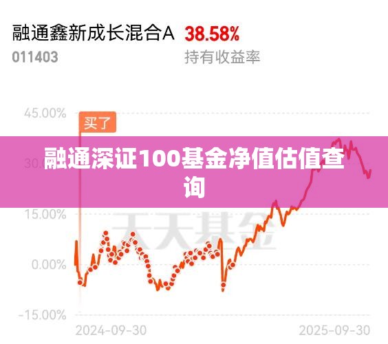 【融通深证100基金净值估值查询,融通深证100基金定投好吗】
