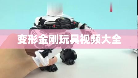 变形金刚玩具视频大全/变形金刚玩具视频大全高清