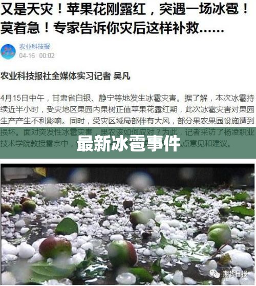最新冰雹事件,最新冰雹预警