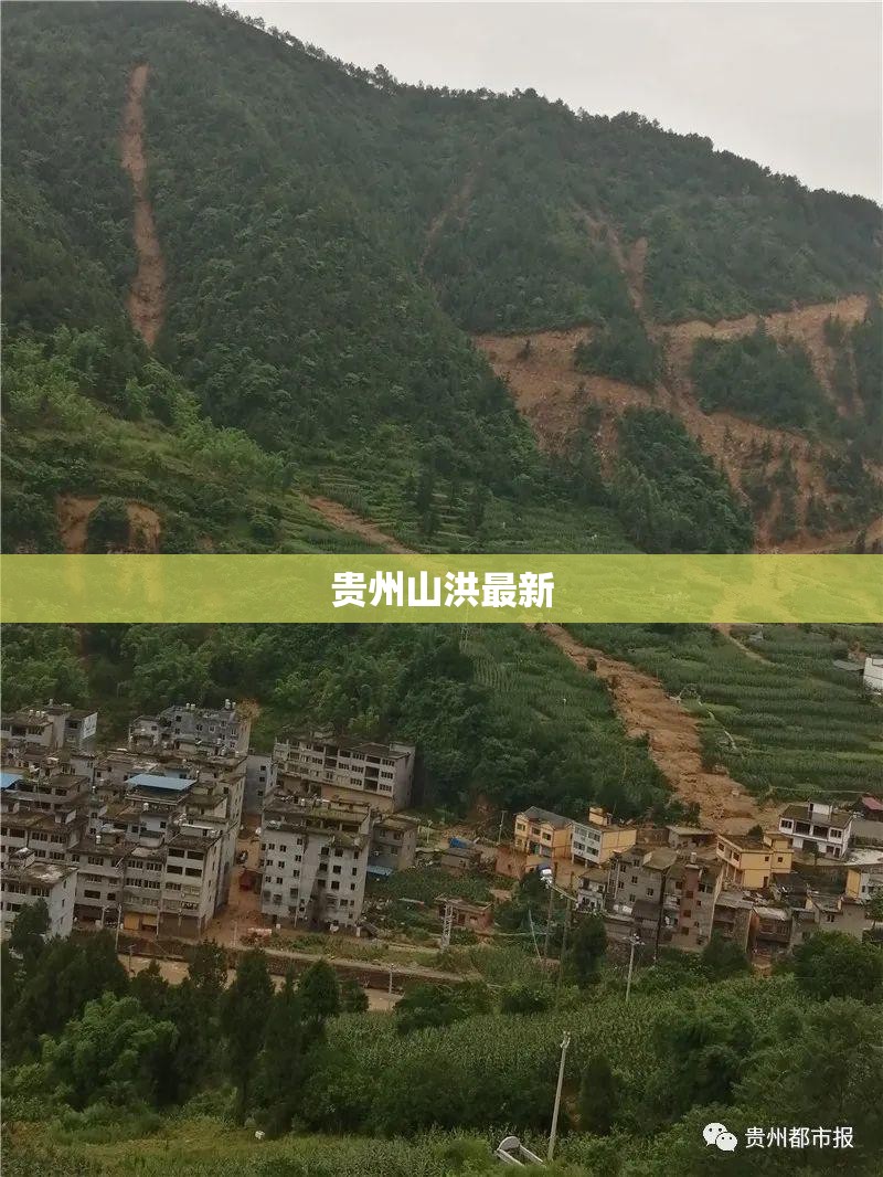 【帕萨特2023年外观/2023款帕萨特谍照】