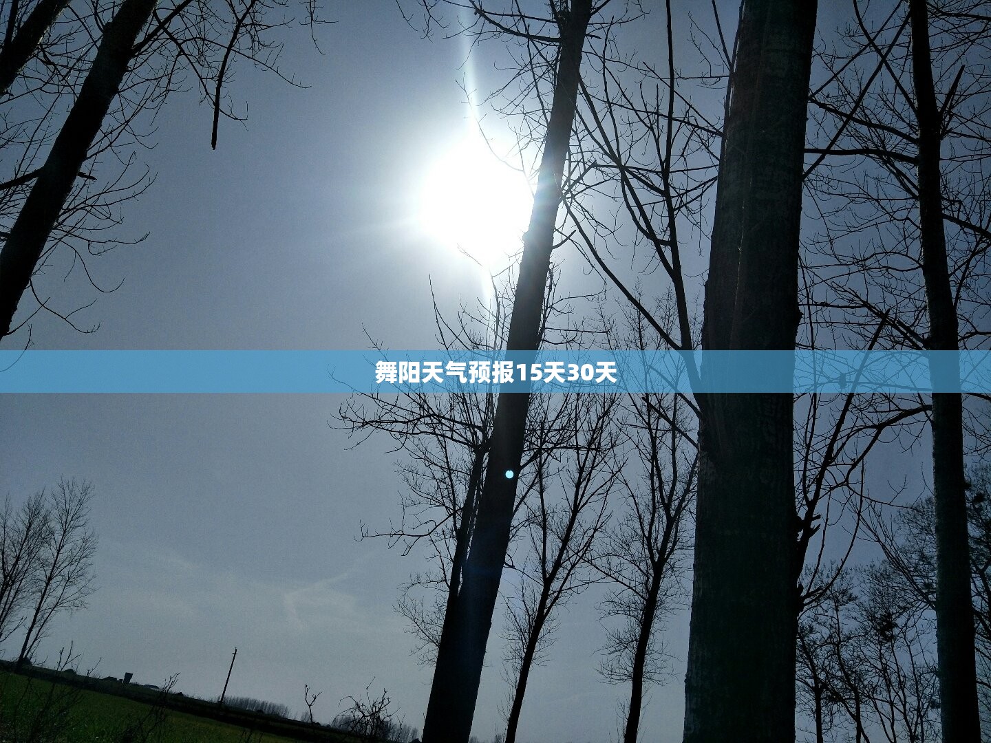 舞阳天气预报15天30天/舞阳天气预报十五天